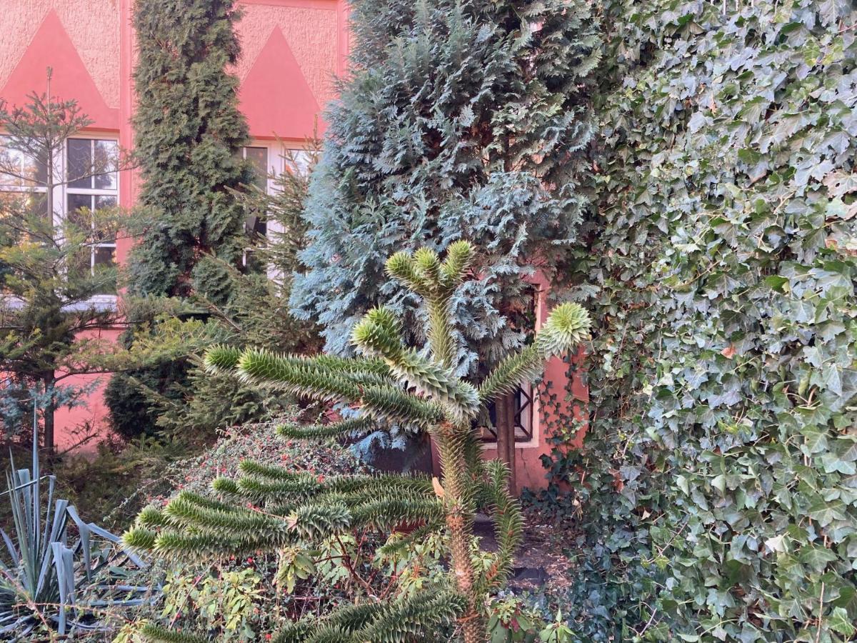 Pokoj Miejski Zielona Góra Extérieur photo